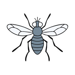 Fototapeta premium Simple illustration of a stylized gray insect with transparent wings and six legs
