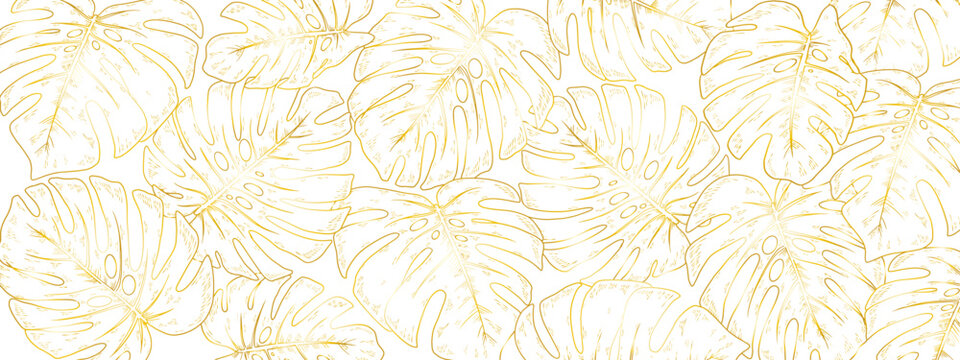 openwork leaves of a monstera palm tree on a white background.Close-up, long.eps