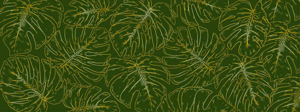 Green openwork leaves of a monstera palm tree on a green background.Close-up, long shot.The design element