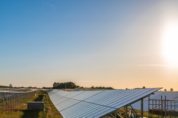 Naklejka premium Solar panel farm at sunset with copy space, renewable energy concept Wide panoramic view of a solar power plant at sunset with long rows of photovoltaic panels and large copy space, ideal for energy 