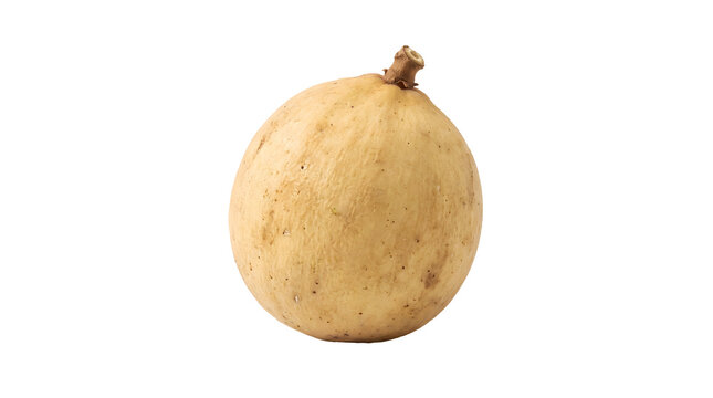 A single, ripe langsat fruit, with a smooth, pale yellow skin and a delicate stem attached, isolated on a clean white background