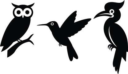 Bird Silhouette Collection Featuring Owl Hummingbird and Hornbill Wildlife Illustrations © Monjurul