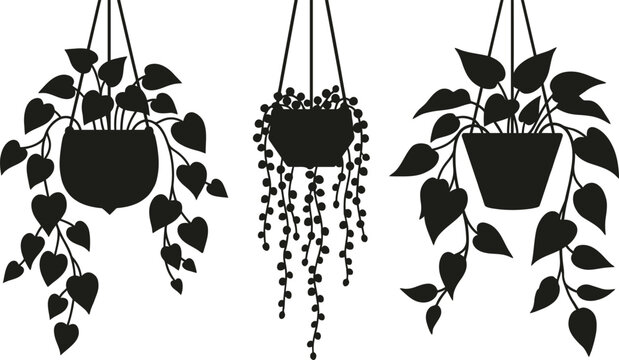 Hanging plants silhouette collection pothos string of pearls and heartleaf philodendron