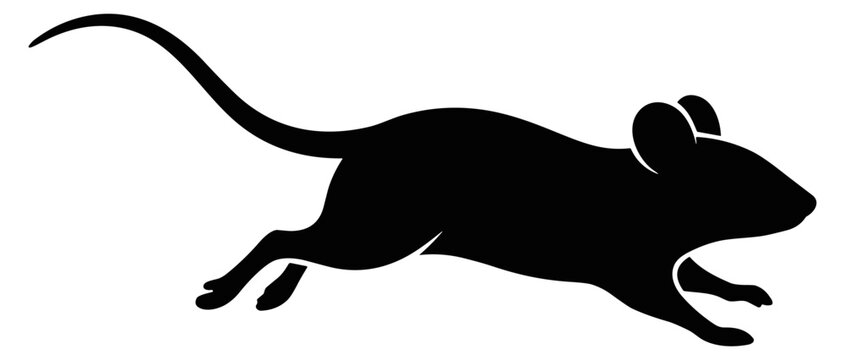 black silhouette of a running mouse vector illustration on transparent background