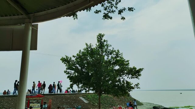Green Tree Viewed from Building Roof in Bangladesh Nature Background Cinematic Outdoor Footage