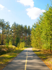 Obraz premium asphalt bicycle path winding through a beautiful green forest under a bright blue sky with white clouds, capturing a peaceful summer landscape