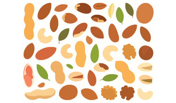 Healthy Mixed Nuts Heap Vector Illustration in Premium Food Style