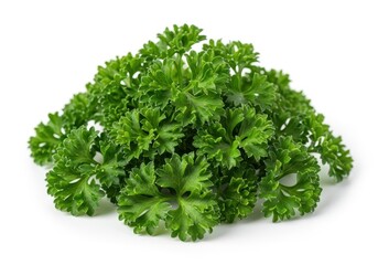 Fototapeta premium Vibrant fresh curly parsley leaves piled high, ready for chopping and seasoning, emphasizing natural flavor and herbal vitality, aromatic, summer, ingredient