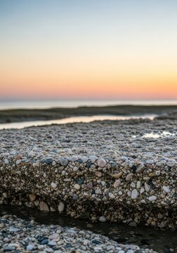 Naturally cemented sand, shell fragments, and pebbles forming a rugged platform exposed by the tide on a warm shoreline, beach, environment, erosion