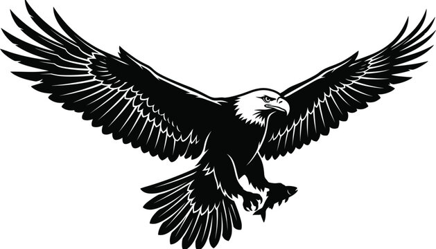Flying bald eagle attacking front view black silhouette icon isolated on plain white background for sports mascot and patriotic commercial logo design templates