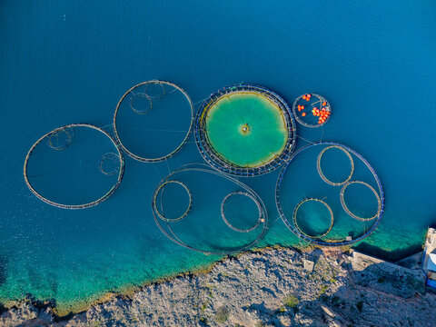 Aerial view of the Mrijestiliste fish farm with circular cages and hatchery nets in the turquoise Adriatic Sea Lukovo Sugarje, Lika-Senj County, Croatia.