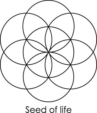 Seed of life sacred geometry symbol with intersecting circles black linear outline isolated on plain white background