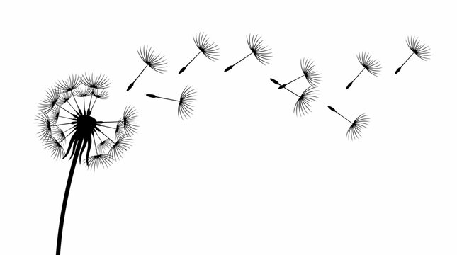 Dandelion seeds blowing vector illustration artwork with black and white design, delicate motion, symbolic freedom, graceful nature composition, decorative artistic plant vector drawing