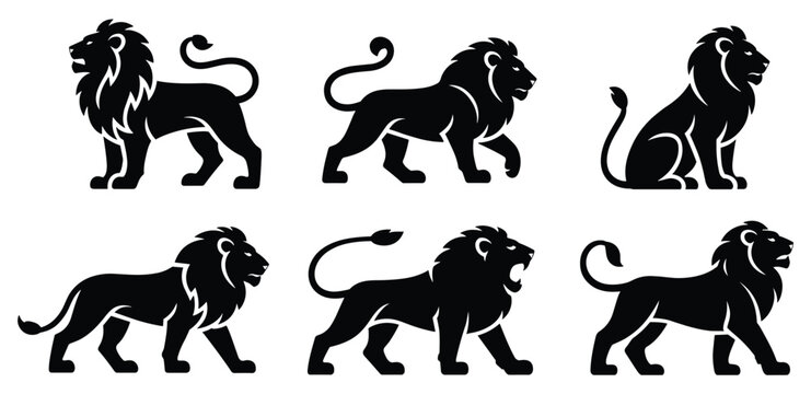 Lion Silhouette Set: A collection of powerful lion silhouettes in various poses, symbolizing strength and majesty. wildlife graphic, animal illustration, majestic creature, wild cat art.
