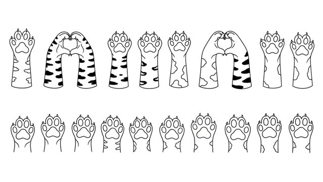 Vector Animal Paw Illustration Cartoon Legs Tiger Stripes Spots Claws Pads Outline Stylized Design Pack Educational Art Collection