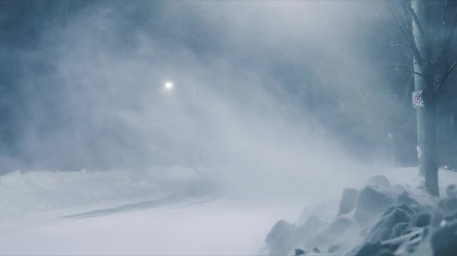 Strong winds whip through Beachville, Nova Scotia, as snow falls heavily during a winter night storm
