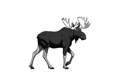 Fototapeta premium Bull moose walking mascot illustration on white background