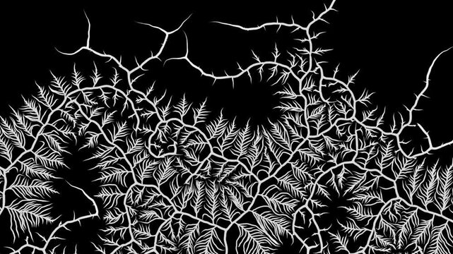 Animated branching growth pattern