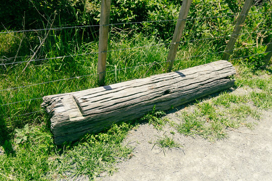 Weathered Wooden Log Bench Beside Wire Fence