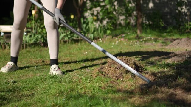 A woman is working in the garden. A woman is raking the lawn. A woman is raking the garden of a private house.