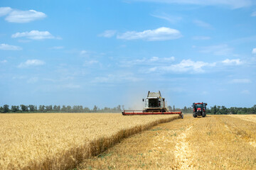 Naklejka premium Combine harvester and tractor work in a dry yellow wheat field during the summer harvest under a blue sky with clouds while cutting and gathering ripe grain crops in an agricultural area
