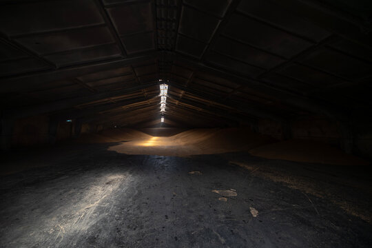 Large piles of harvested grain are stored inside a dark industrial warehouse with light shining through a central ceiling skylight onto the concrete floor and agricultural storage mounds