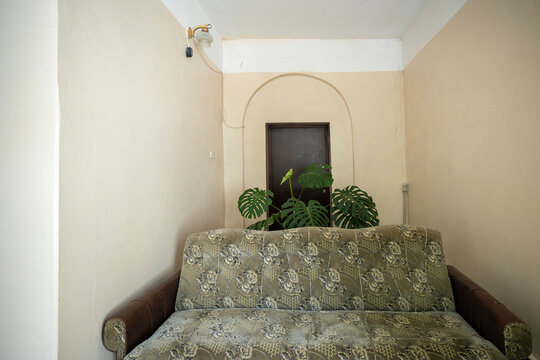An indoor view of a patterned green and gold sofa positioned in front of a monstera plant and a closed dark brown door set within an arched wall alcove inside a building with plain beige walls