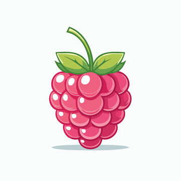 Cartoon Raspberry Illustration