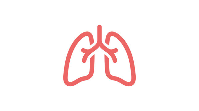 Simple vector illustration of human lungs on a white background medical concept