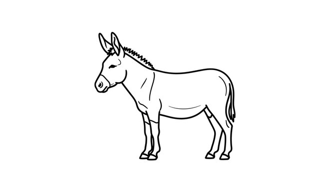 Donkey Standing Alone Side View.