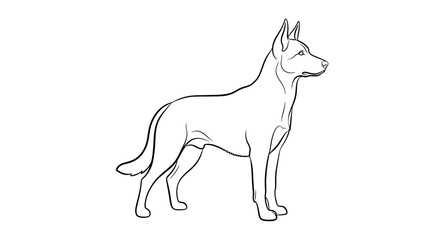 Fototapeta premium German Shepherd Dog Standing Profile.