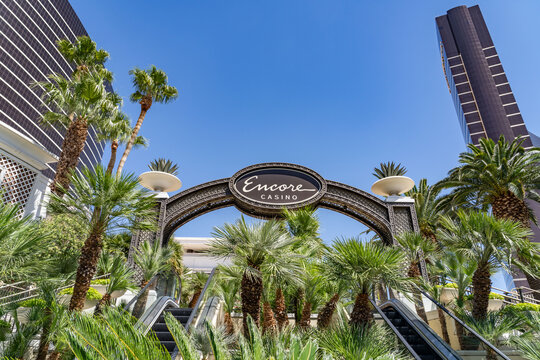Washingtonia is a monotypic genus of monoecious palms. Family Arecaceae.  Las Vegas Boulevard,  Clark County, Nevada. Basin and Range Province, Mojave Desert.  near Encore Wynn Las Vegas
