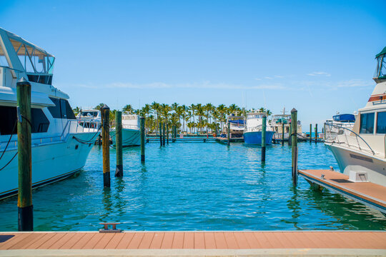 White luxury motor yachts moored at piers inside tropical Key West marina harbor on a Caribbean cruise vacation route.