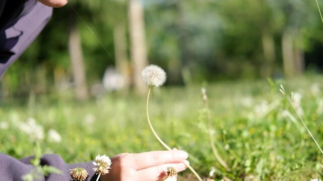 Woman Blowing Dandelion Seeds in Green Meadow Background with Copy Space for Text