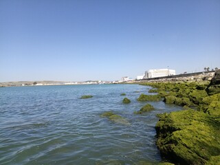 Obraz premium Green Algae Rocks and Calm Waters with Industrial Harbor View