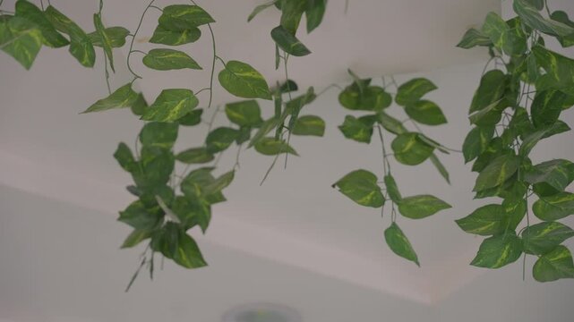 Decorative botanical elements enhance romantic atmosphere. Modern interior blends natural foliage with warm lighting. Ceiling vines and lush greenery set romantic mood in stylish interiors