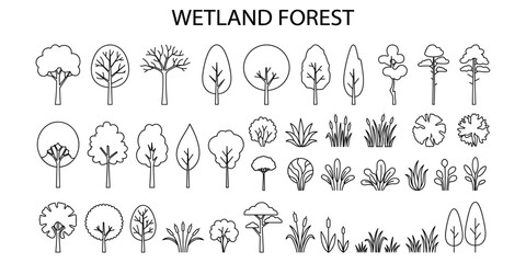 Wetland forest CAD tree elevation set for landscape architecture drawings. Minimal side view vegetation outlines, section planting symbols and botanical vector illustration. © JIm Studio