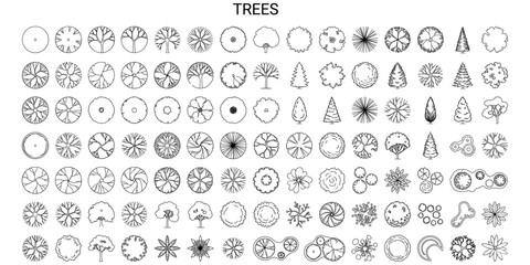 Top view tree CAD symbols vector illustration. Detailed vegetation plant and landscape blocks for architectural site plan design © JIm Studio