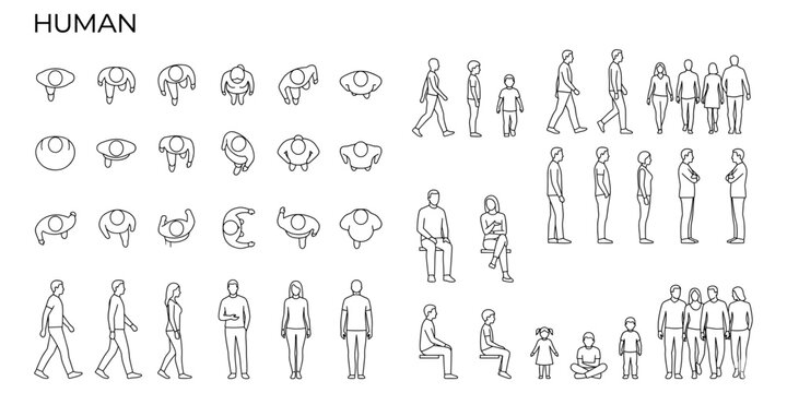 Architectural human scale CAD blocks vector illustration. Top view and side view people figures for elevation and floor plan drafting