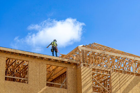 A wide horizontal view of a construction worker wearing a safety harness and hard hat standing on a roof deck next to wooden roof trusses during the framing of a multi-story residential building under