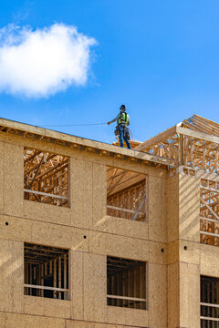 A vertical view of a construction worker wearing a safety harness and hard hat standing on a roof deck next to wooden roof trusses during the framing of a multi-story residential building under a blue