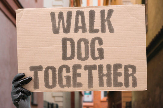 "Walk dog together" Pet owners connect through daily walks. COMMUNITY. ISOLATION. ANIMAL. ROUTINE. SOCIAL.