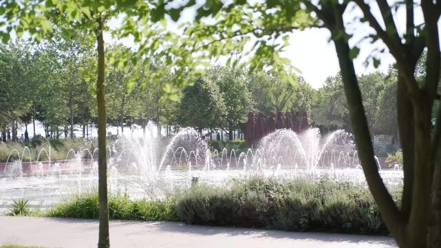 Camera Dolly Back of Beautiful Water Fountains in a Public Green Park revealing Trees in Foreground Background
