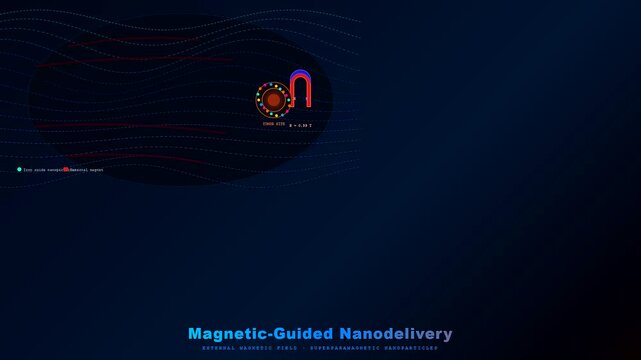 Visualizing magnetic field guidance technology, this animated illustration depicts precise targeted drug delivery using superparamagnetic nanoparticles for advanced therapeutic medical treatments.