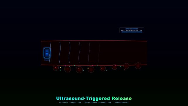 An animated visualization depicts targeted drug delivery through ultrasound activating microbubbles, precisely releasing therapeutic agents into biological tissues for advanced localized treatment.