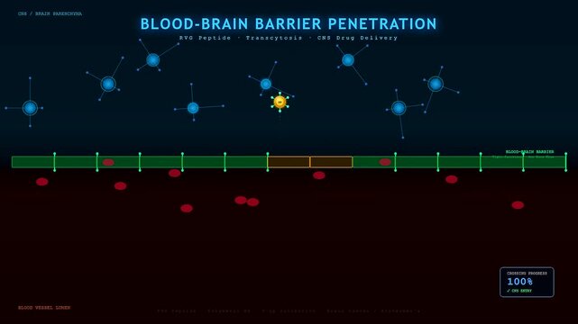 Scientific animation depicts targeted drug delivery effectively penetrating the challenging blood brain barrier into the central nervous system, advancing neurological research.