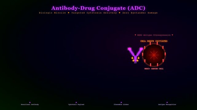 Targeted drug delivery demonstrates precision medicine as an antibody drug conjugate biologically targets and eliminates a cancer cell, minimizing bystander damage in this scientific animation.