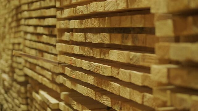 A stream of small wooden pieces and offcuts moving along a conveyor belt, representing byproduct management in a large wood factory