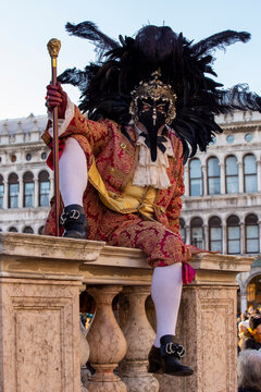 Venice Carnival Feathered Headdress