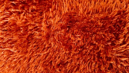 Brown shaggy fur texture background © Faried